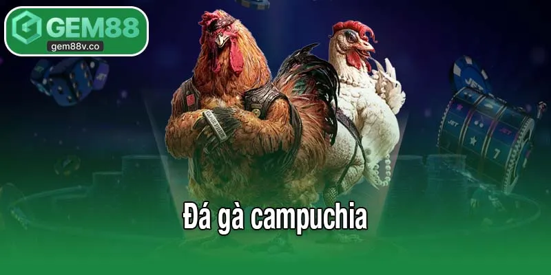 đá gà Campuchia