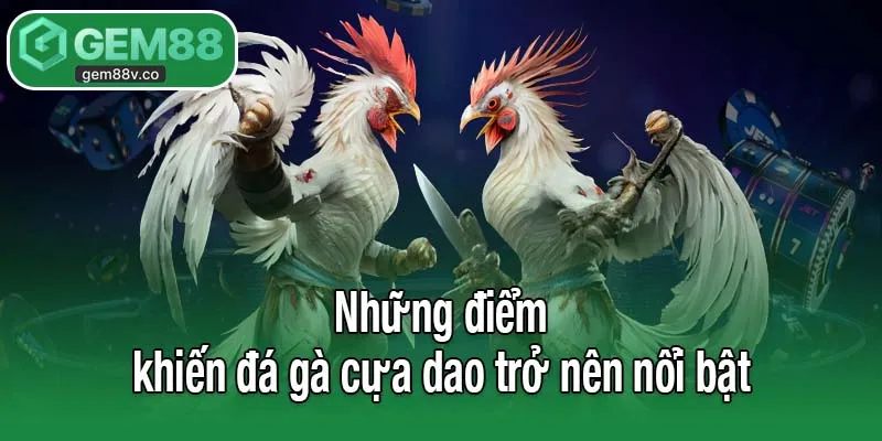 Những điểm khiến đá gà cựa dao trở nên nổi bật