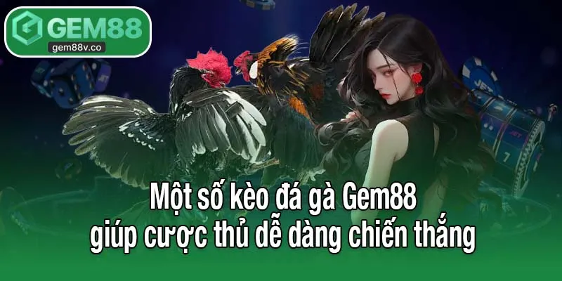 Một số kèo đá gà Gem88 giúp cược thủ dễ dàng chiến thắng