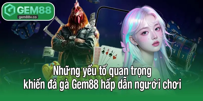 Những yếu tố quan trọng khiến đá gà Gem88 hấp dẫn người chơi