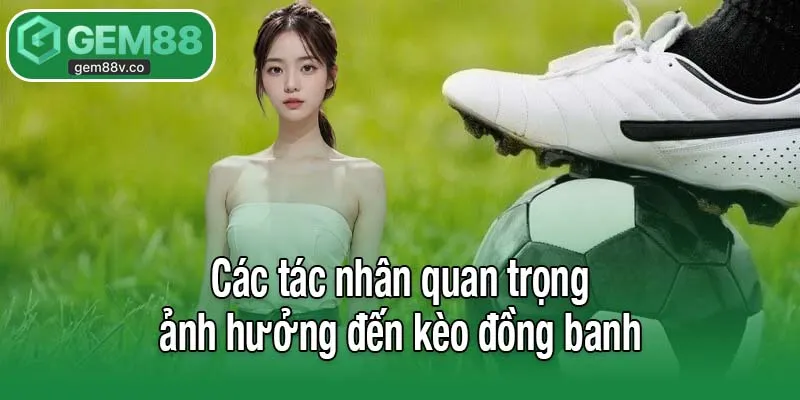 Các tác nhân quan trọng ảnh hưởng đến kèo đồng banh