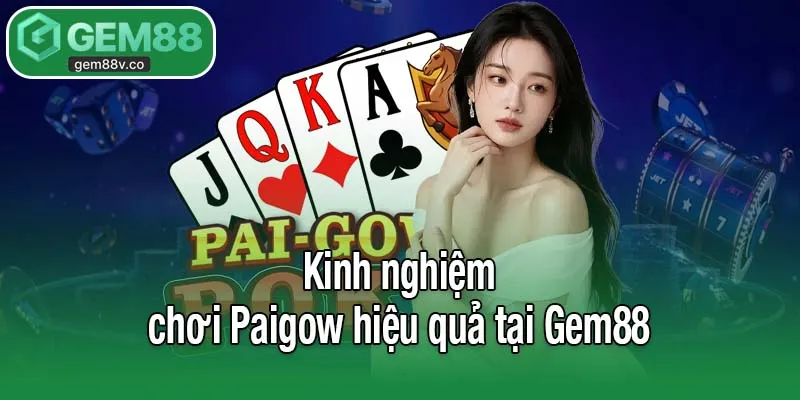 Kinh nghiệm chơi Paigow hiệu quả tại Gem88